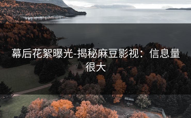幕后花絮曝光-揭秘麻豆影视：信息量很大