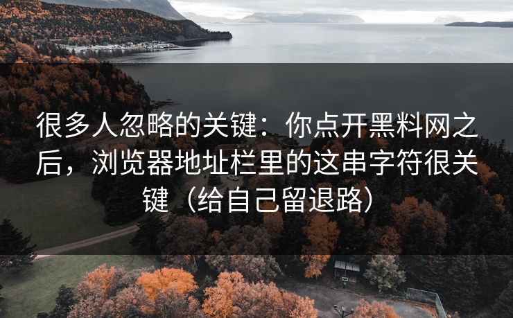 很多人忽略的关键：你点开黑料网之后，浏览器地址栏里的这串字符很关键（给自己留退路）