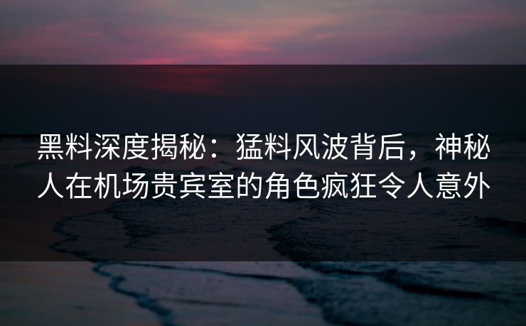 黑料深度揭秘：猛料风波背后，神秘人在机场贵宾室的角色疯狂令人意外