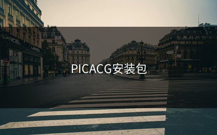 PICACG安装包