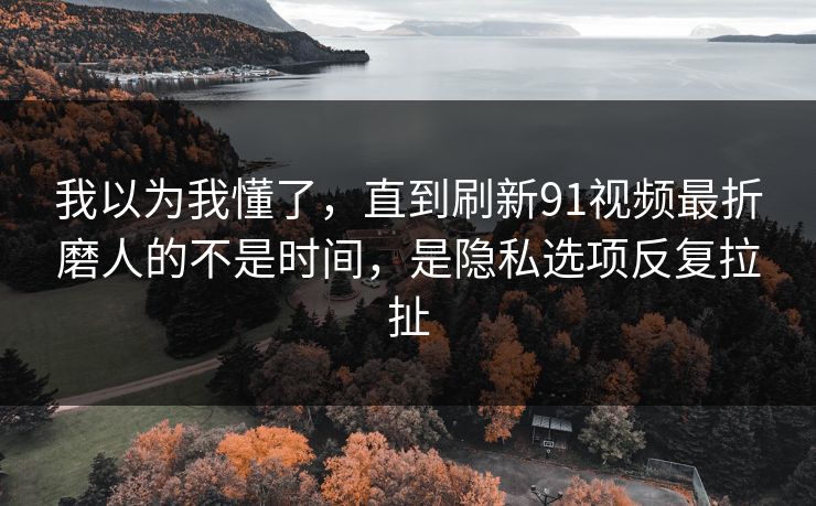 我以为我懂了，直到刷新91视频最折磨人的不是时间，是隐私选项反复拉扯