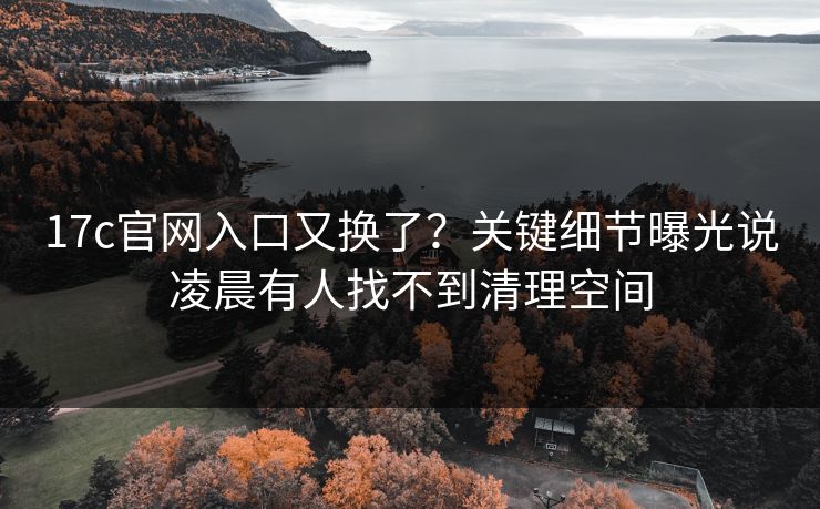 17c官网入口又换了？关键细节曝光说凌晨有人找不到清理空间